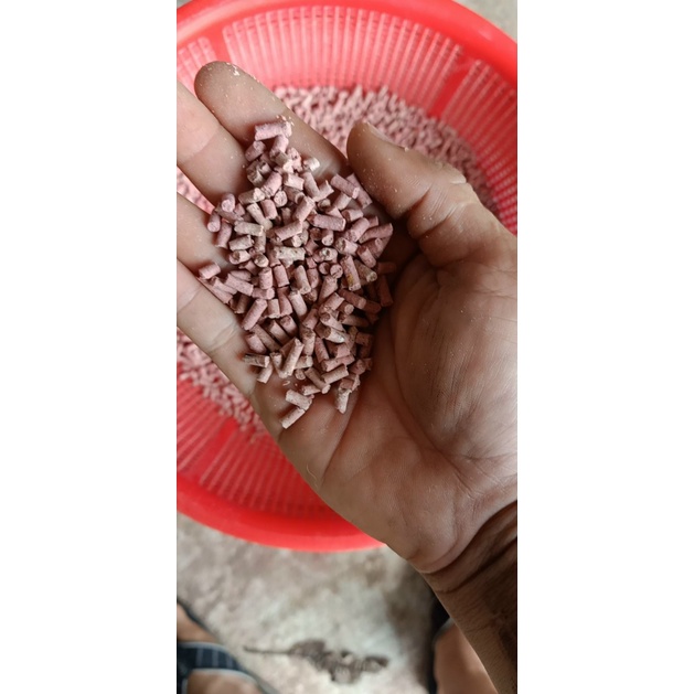 [ Hàng Chính Hãng] Cám đạm đỏ cho gà đá