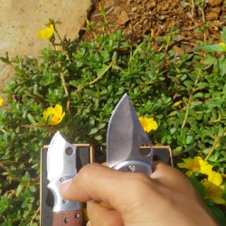 Dao phượt buck mini