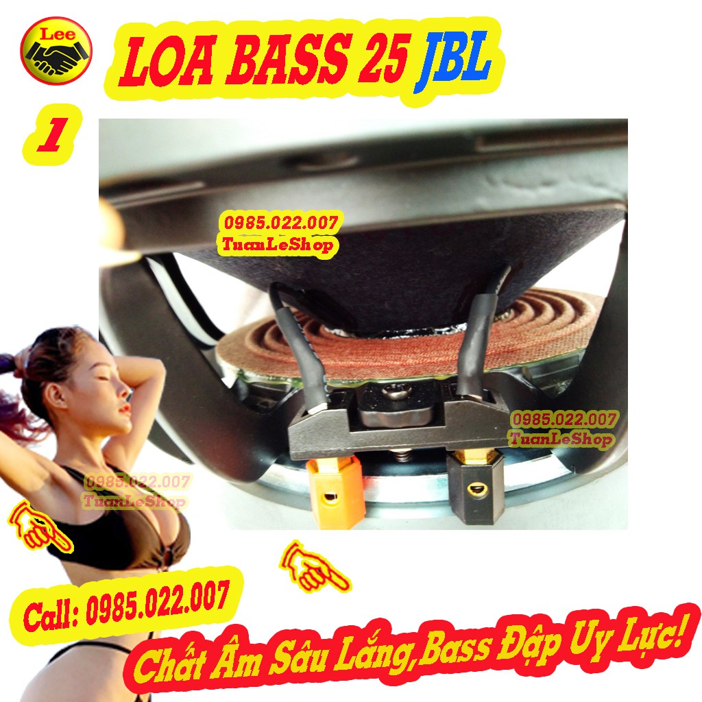 BASS 2.5 TẤC - LOA KARAOKE  JBL TỪ 170 -GIÁ 02 LOA BASS 25 JB L