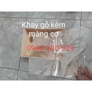 Combo 10 khay gỗ size 25cm*35cm(kèm màng co khay)
