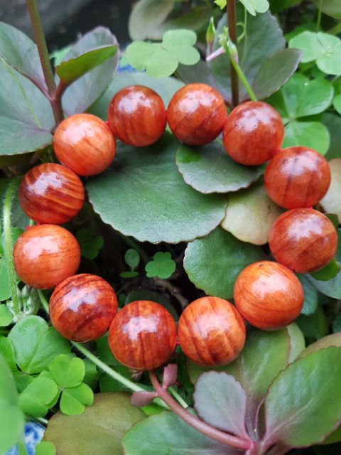 VÒNG TAY GỖ HUYẾT LONG NHIỀU KT :8 -10-12-14-16 LI