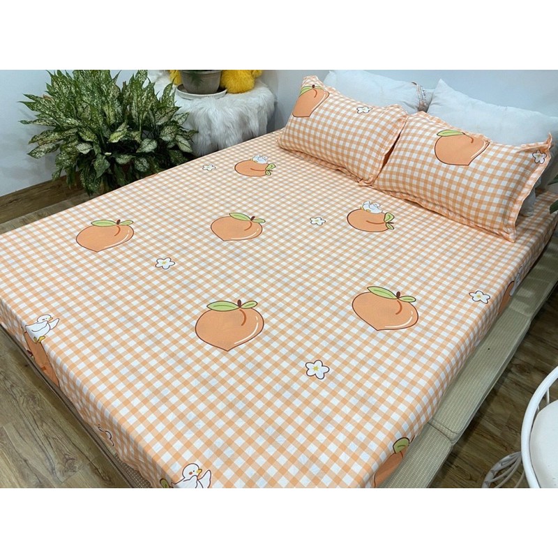 Bộ sét chăn phao 5 món cotton poly Đào kẻ