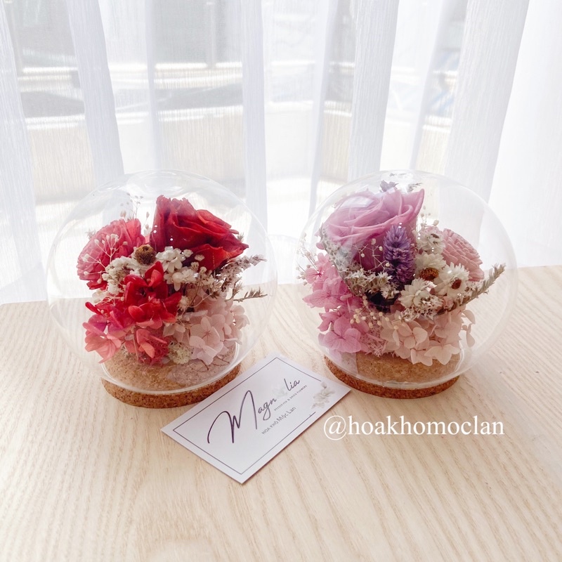 Chụp thuỷ tinh hoa hồng khô bất tử không tàn *HOA KHÔ MỘC LAN* | BigBuy360 - bigbuy360.vn