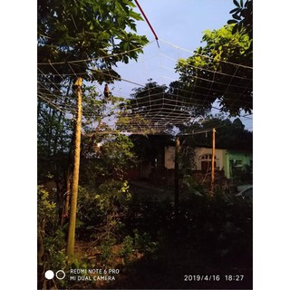 Lưới giàn leo ( 2m x 20m) hàng nhập khẩu và phân phối chính hãng.