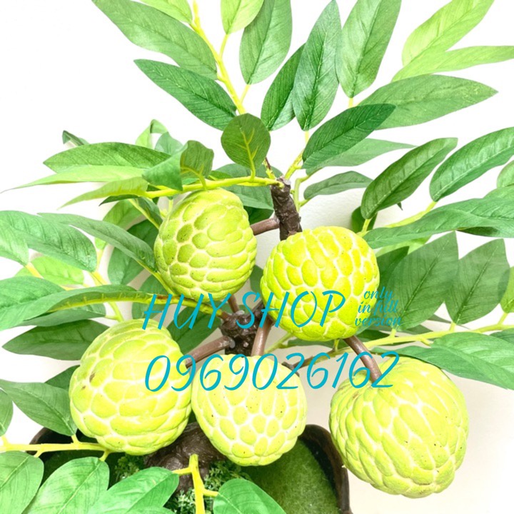 Hoa trái giả - Chậu cây trái MÃNG CẦU  nhân tạo trang trí nhà cửa