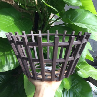 Chậu nhựa giả gỗ trồng lan (29cmx15cm)