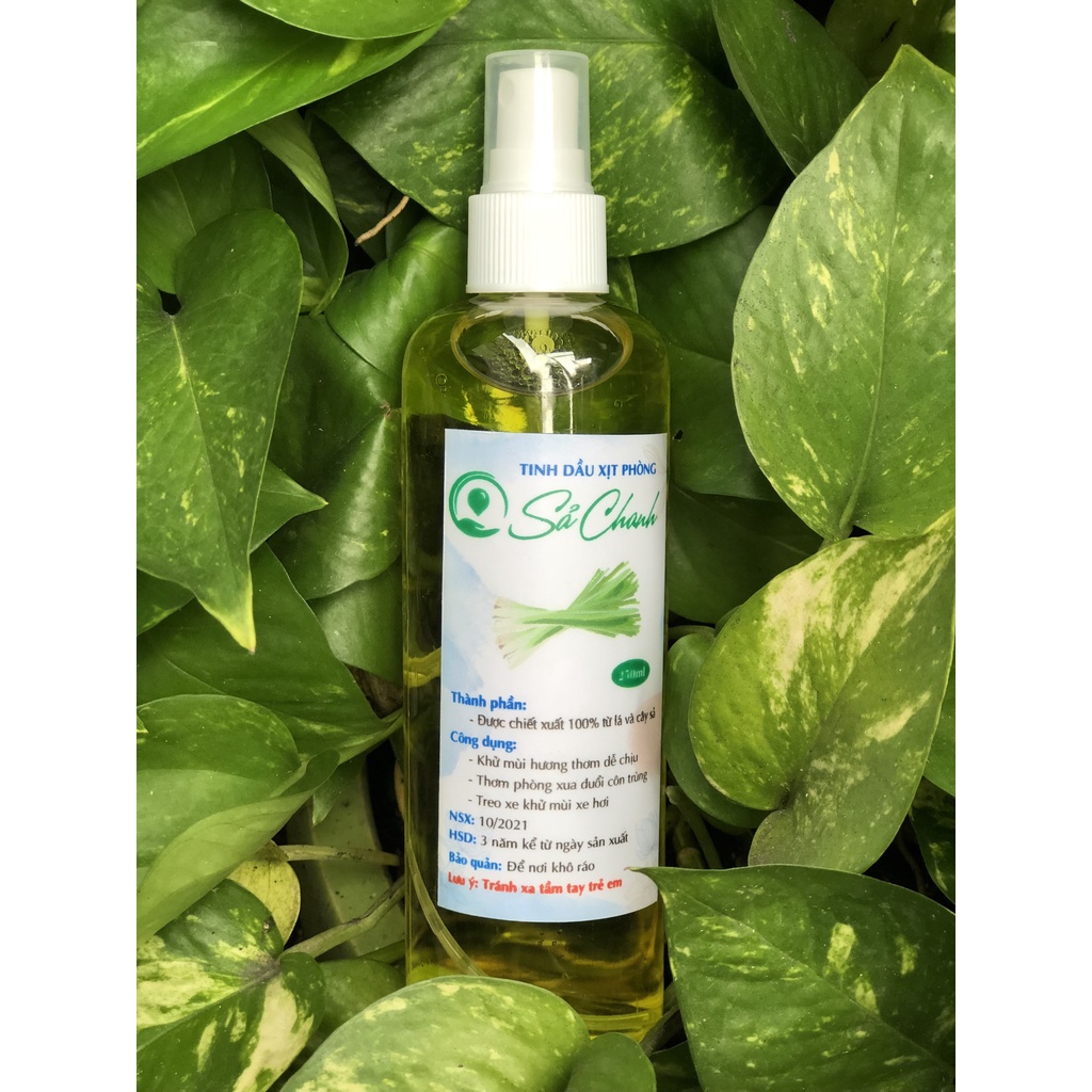 Tinh dầu xịt phòng hương sả chanh, bạc hà, xá xị, khuynh diệp, vỏ quýt, quế giúp khử mùi, đuổi muỗi, côn trùng hiệu quả