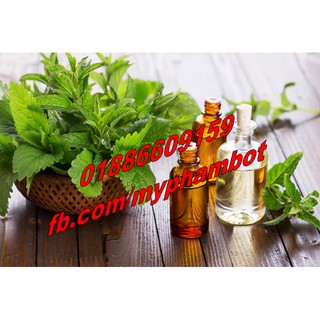 Tinh dầu bạc hà