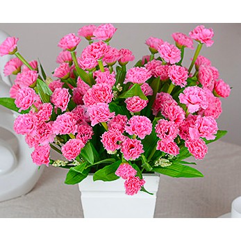 Hoa Giả - 18 bông Hoa Lụa cẩm chướng cao cấp- HG33