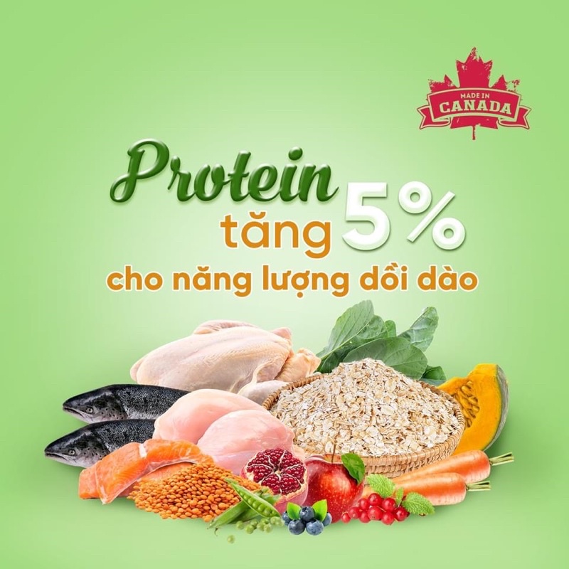 NUTRIENCE INFUSION INDOOR - HẠT THỨC ĂN CAO CẤP CHO MÈO TỪ CANADA