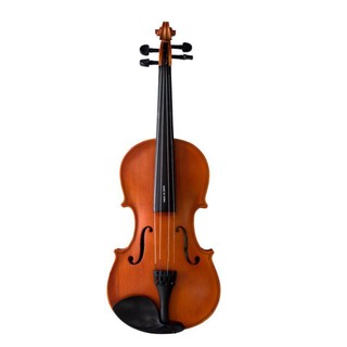 Đàn violon, violin vines v35
