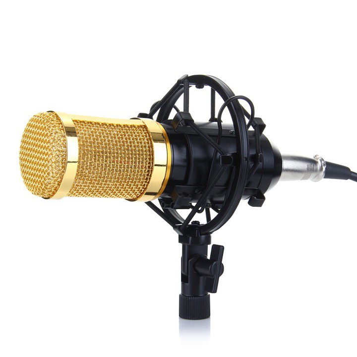 MICRO THU ÂM CHUYÊN NGHIỆP BM 800