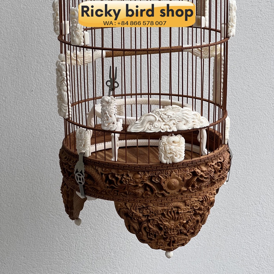 Lồng khuyên chạm rồng 3D độ xương siêu VIP