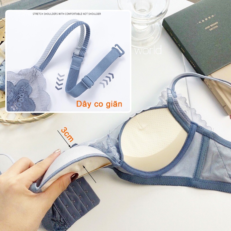 Áo ngực ren đệm dày cao cấp, áo lót nữ gợi cảm HAVANA FLA25 | BigBuy360 - bigbuy360.vn