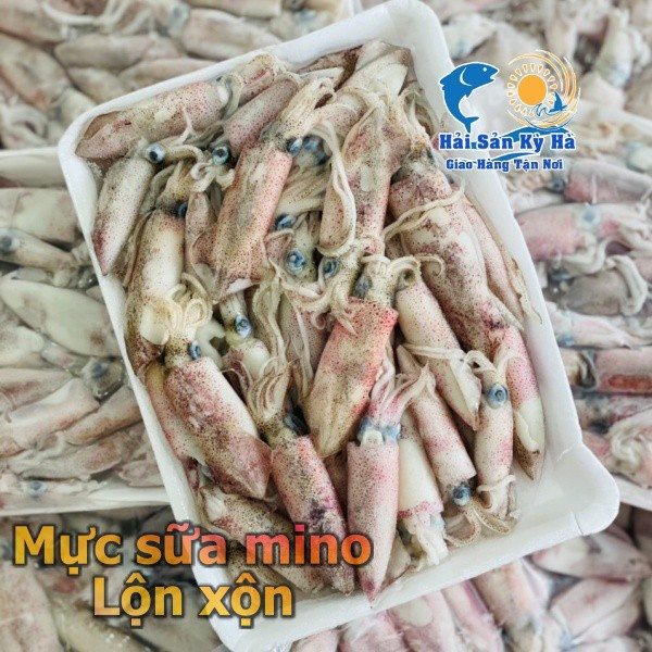 Giá sỉ 1Kg Mực Sữa - Q12