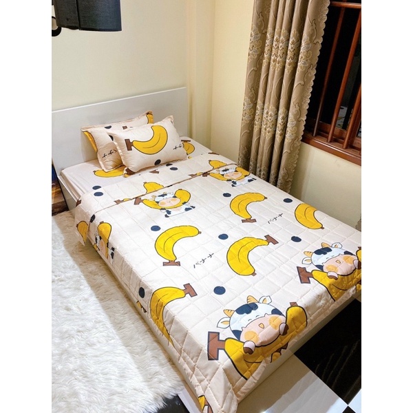 Set 5 Món Chăn Hè Trần Bông Mỏng Poly Cotton_Nhiều Màu