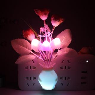 Đèn Led Đổi Màu 513''