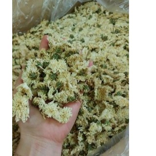 (100G) TRÀ HOA CÚC TRẮNG