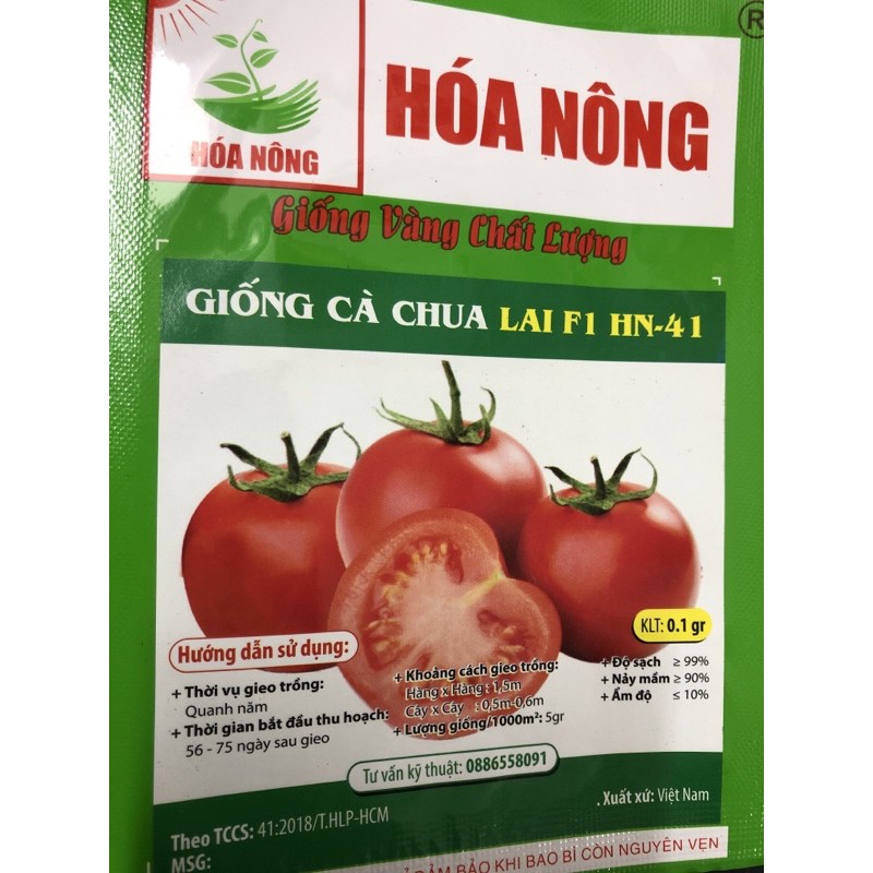 Hạt giống cà chua Quả to ☘️