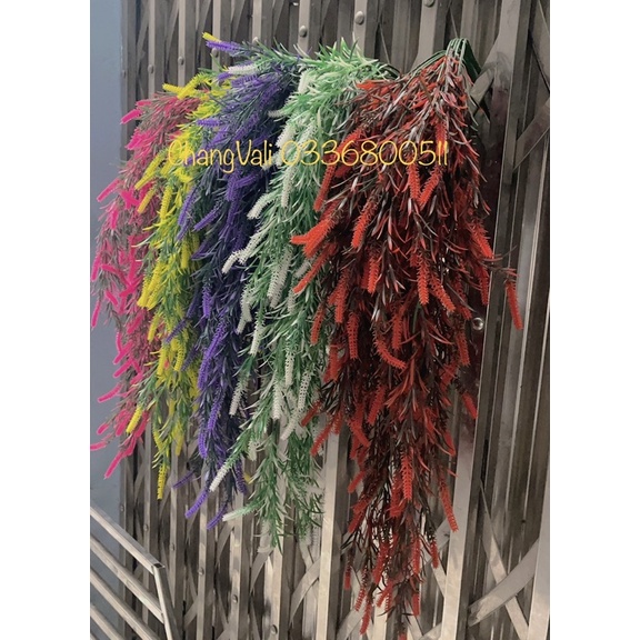 Cụm rủ treo tường-bụi rủ ớt trang trí,decor phong cách vintage