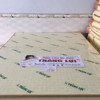 Nệm cao su non Thắng Lợi (Ko quà)