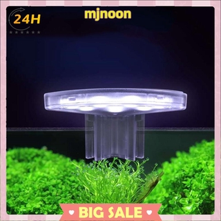 Đèn LED mini chống thấm nước dùng để trang trí bể nuôi cá cảnh