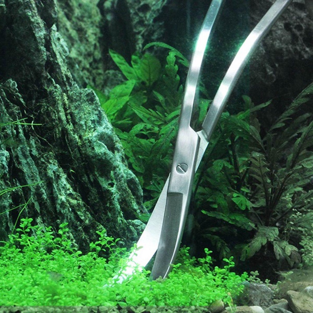 Kéo Cắt Kính Bể Cá 25cm Bằng Thép Không Gỉ