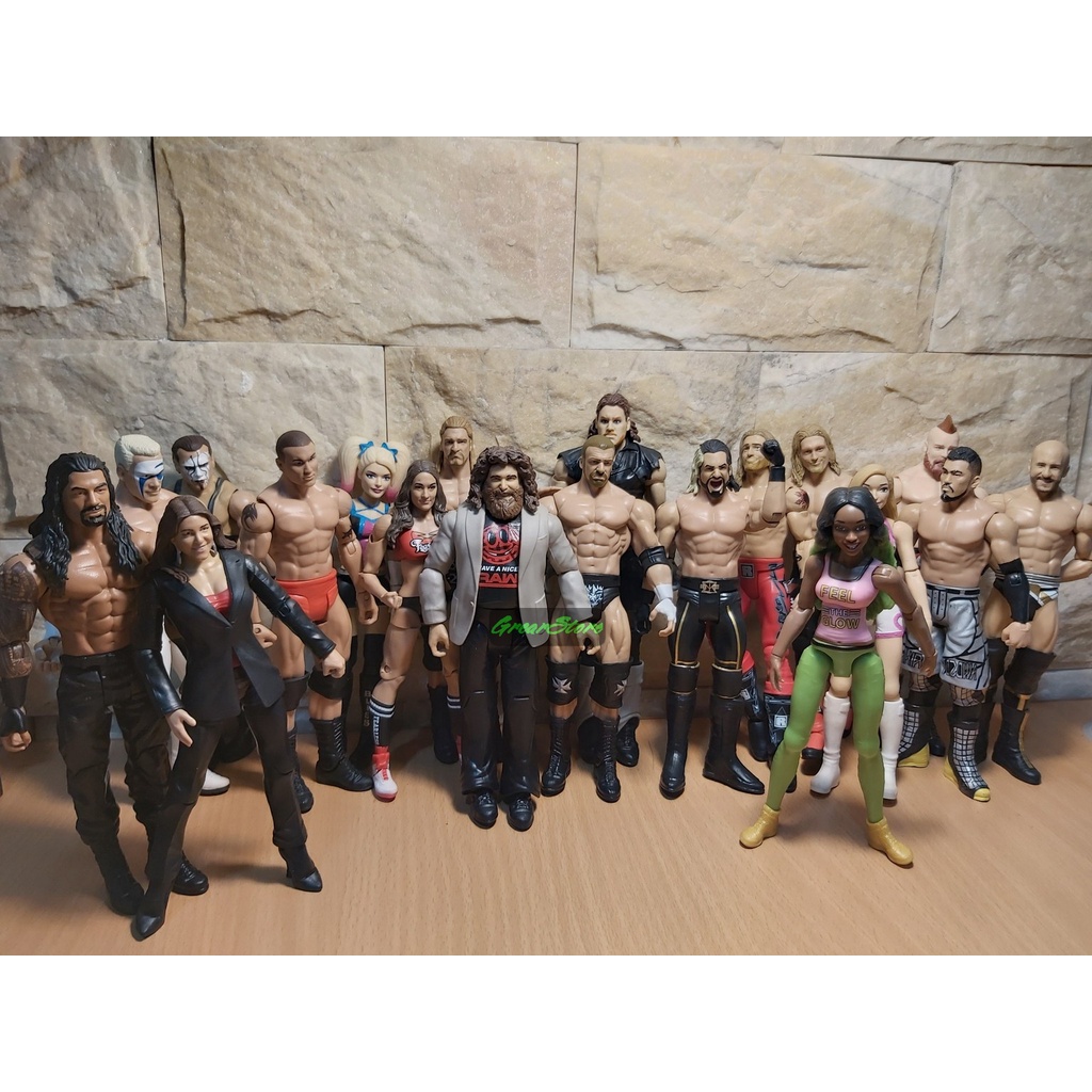 MÔ HÌNH VÕ SĨ ĐẤU VẬT WWE CỬ ĐỘNG ĐƯỢC 17 - 19 cm