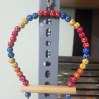 Xích Đu Gỗ Cho Vẹt chơi