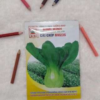 Hạt giống cải chíp