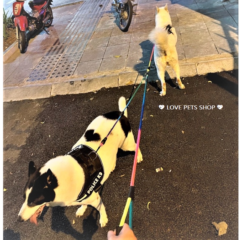BỘ DÂY DẮT CHÓ MÈO 2 ĐẦU KÈM YẾM BẢY SẮC CẦU VỒNG - LOVE PETS SHOP