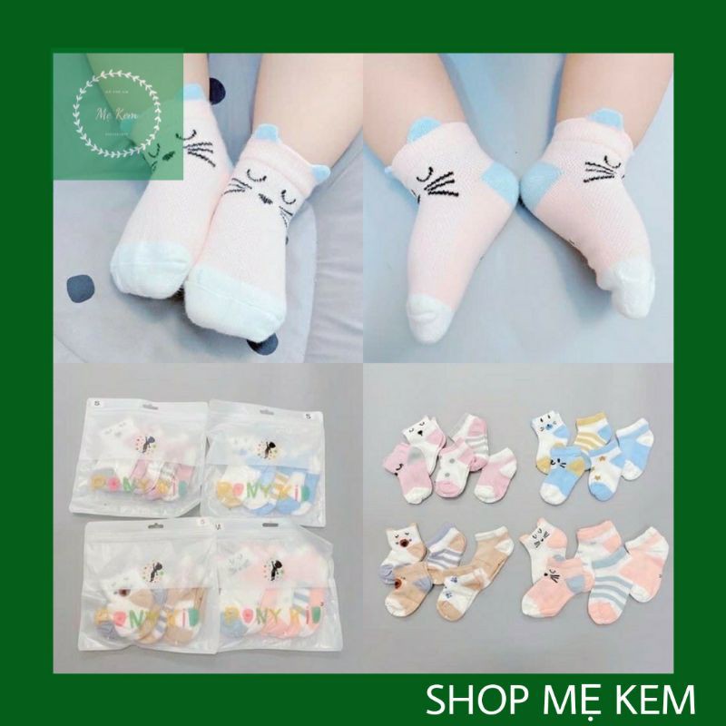 Set 5 đôi tất lưới điều hòa cổ ngắn