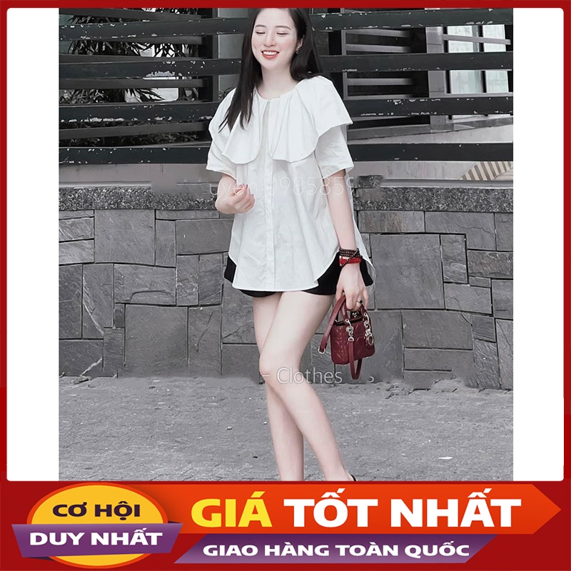 Áo Babydoll Cổ Bèo Mẫu Mới Hàng Quảng Châu Loại 1 M0265-Violet