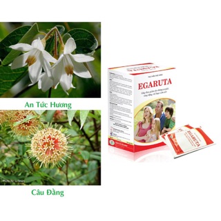 Cốm EGARUTA hỗ trợ điều trị tăng động, động kinh, giảm các cơn co giật