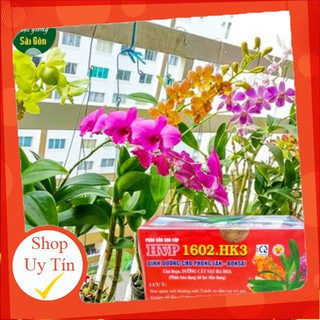 - Phân Bón Rễ Dạng Túi Lọc Chuyên Dùng Cho Phong Lan Và Hoa Kiểng 1602.HK3 chất lượng.