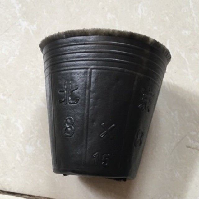 Combo Châu Nhựa ươm cây giống, Bầu gieo hạt giống, Túi ươm cây chất lượng cao giá siêu rẻ