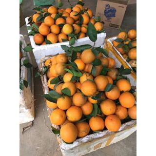 CAM SẠCH CAO PHONG(5kg)