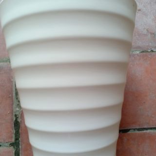 Chậu gân cao- combo 5 chậu