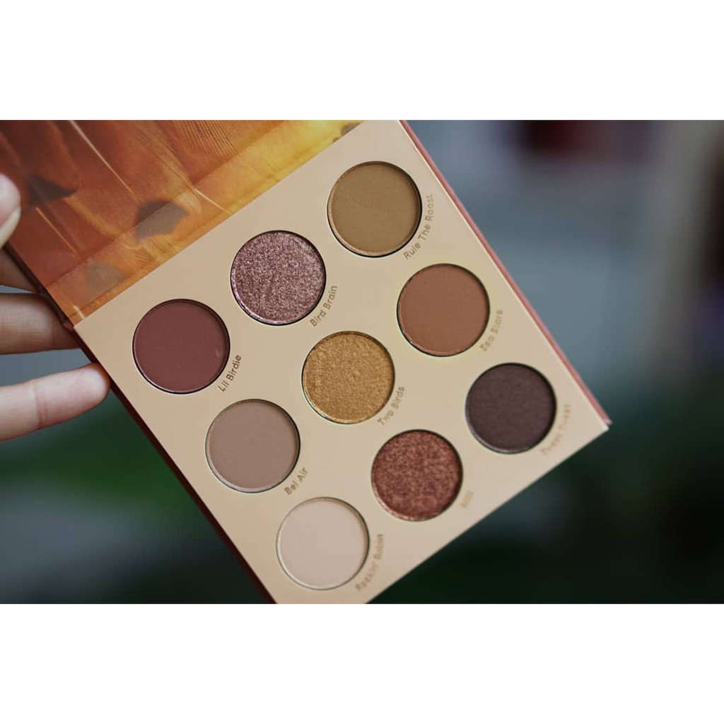 Phấn mắt Colourpop Night Owl tone.