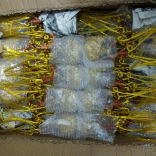 CÂY KIM TIỀN TÀI LỘC( Ảnh thật)