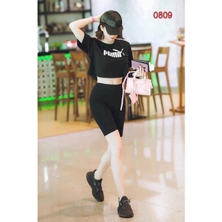 [MÚP BIGSIZE 60-100KG] Quần legging ngố bigsize