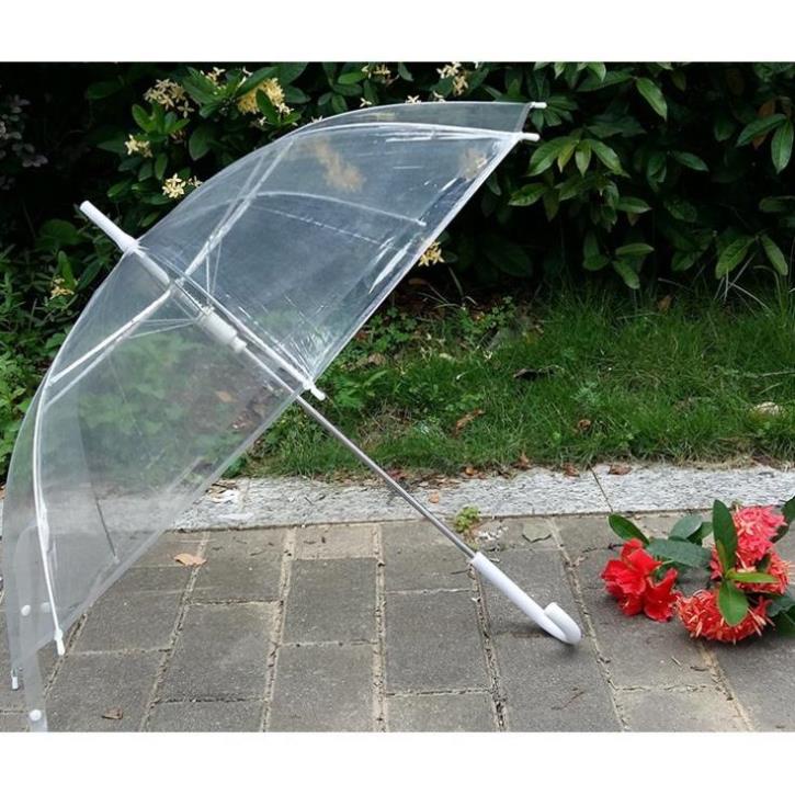 ô đi mưa trong suốt gấp gọn phong cách Hàn Quốc [thích hợp để chụp hình lãng mạn dưới trời mưa PK Tkutrang