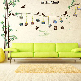 decal dán tường cây khung ảnh