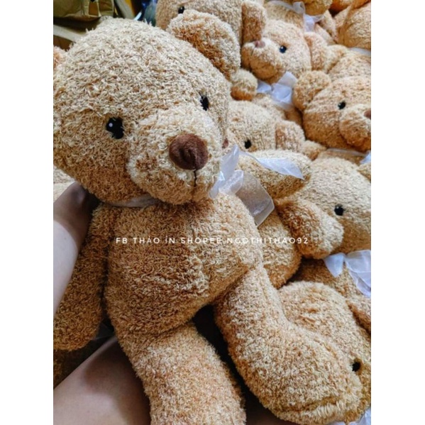 (HOT ) GẤU BÔNG TEDDY CHO BÉ 🐼🐻