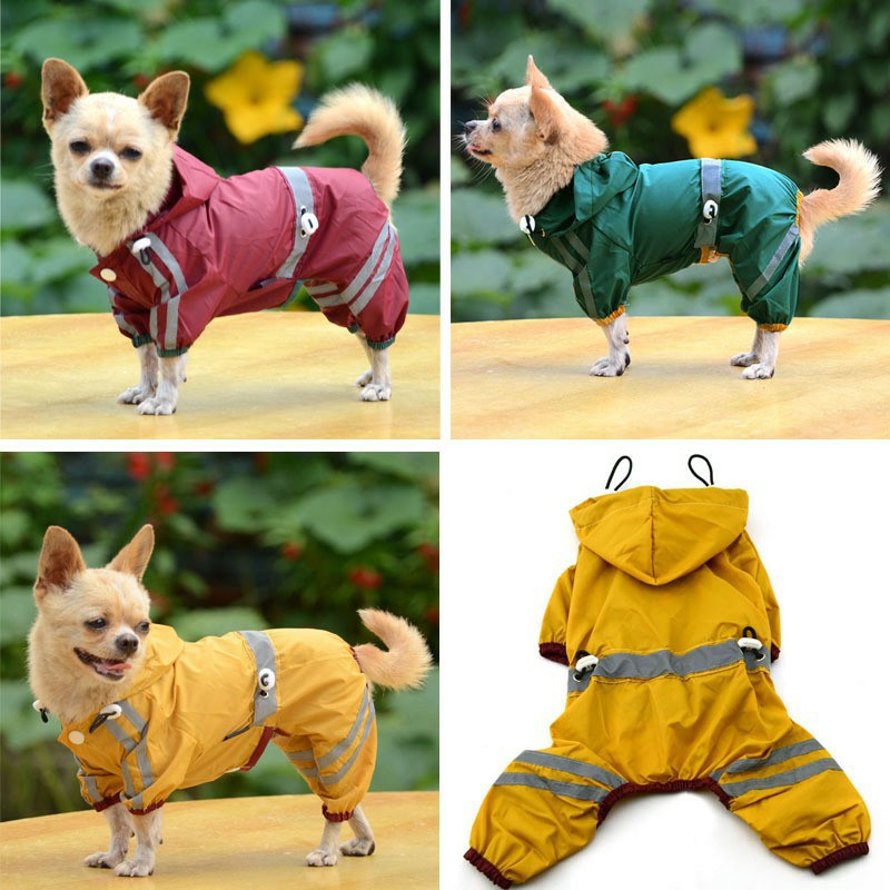 [HÌNH THẬT] ÁO MƯA BỘ XỊN XÒ CHO THÚ CƯNG CHÓ MÈO