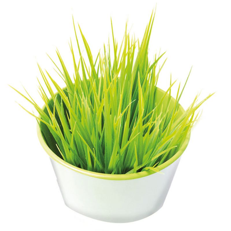 Viên cỏ mèo Gimcat Gras Bits tiêu búi lông, hỗ trợ tiêu hóa và bổ sung chất xơ cho mèo