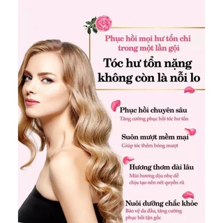 Dầu Gội Dưỡng Tóc Parco Shampoo 400mL