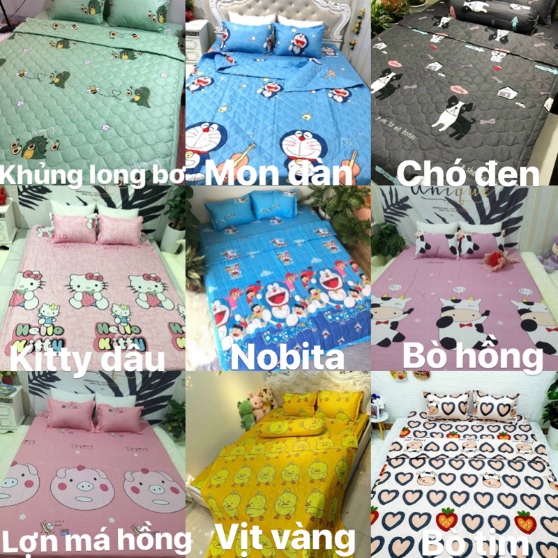 Bộ 1 Ga chun và 2 vỏ gối Cotton poly, chat chọn mẫu.