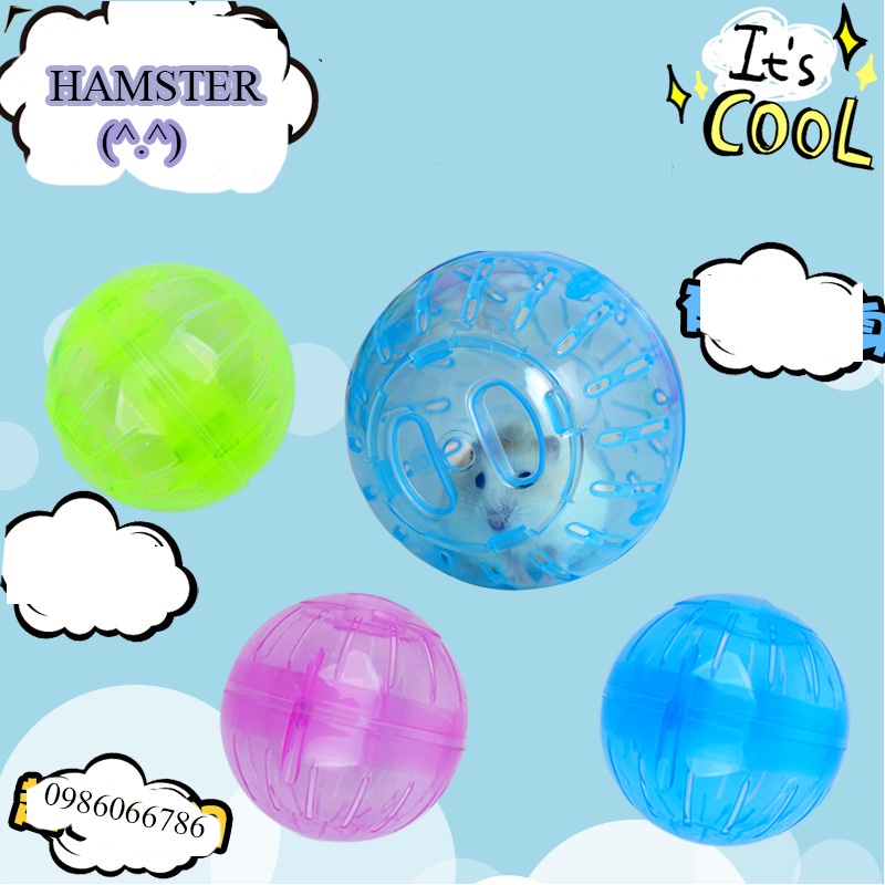 Bóng chạy hamster-đồ chơi cho hamster-Bóng nhựa chạy cho hamster (Không có đế)