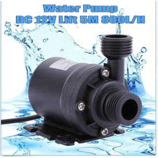 Máy bơm nước không chổi than DC 12V 800L/ giờ 5m